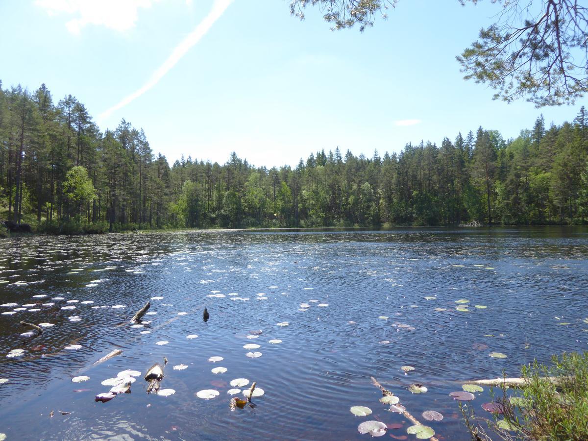 Ydrefors Bed&Breakfast Eksteriør bilde